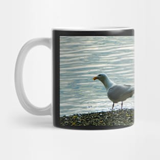 Seagull Mug